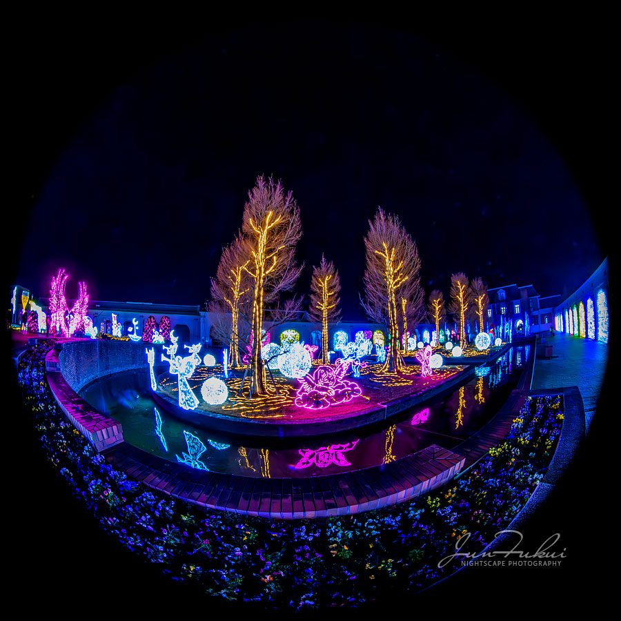 神戸イルミナージュ イルミネーション