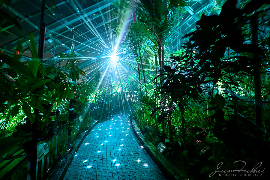 京都府立植物園 ナイトスケープ