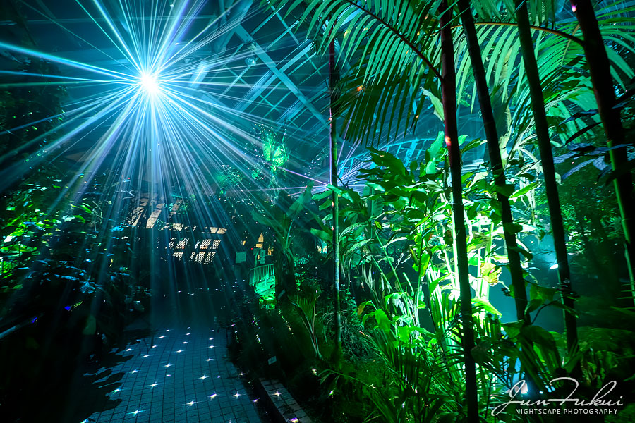 京都府立植物園 ナイトスケープ