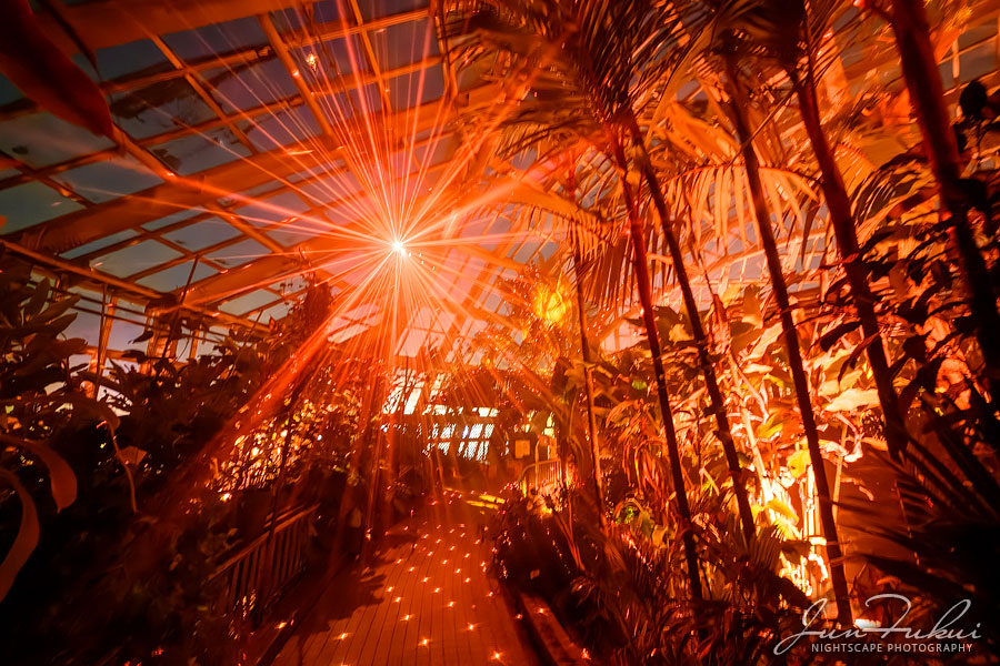 京都府立植物園 ナイトスケープ