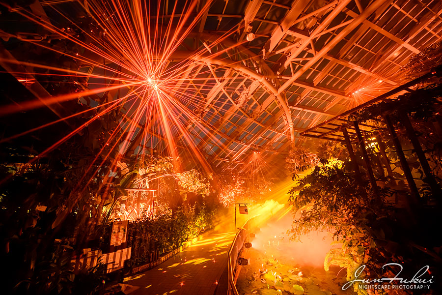 京都府立植物園 ナイトスケープ