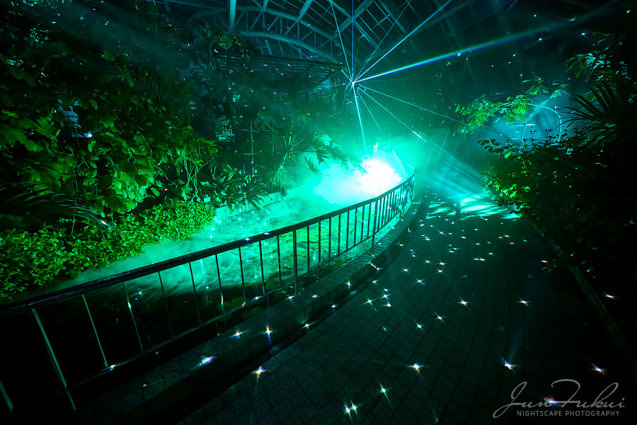 京都府立植物園 ナイトスケープ