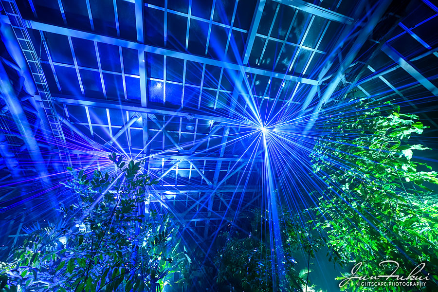京都府立植物園 ナイトスケープ