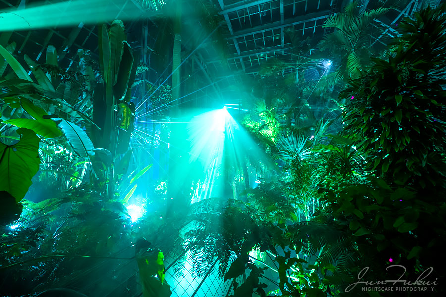 京都府立植物園 ナイトスケープ