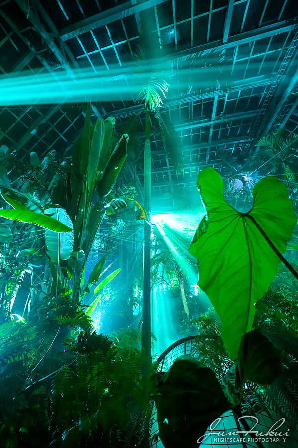 京都府立植物園 ナイトスケープ