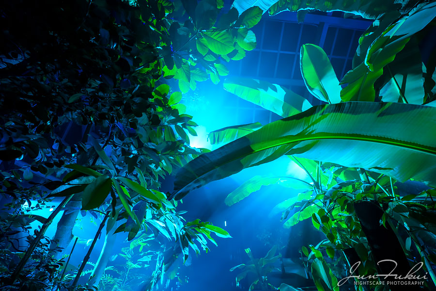 京都府立植物園 ナイトスケープ