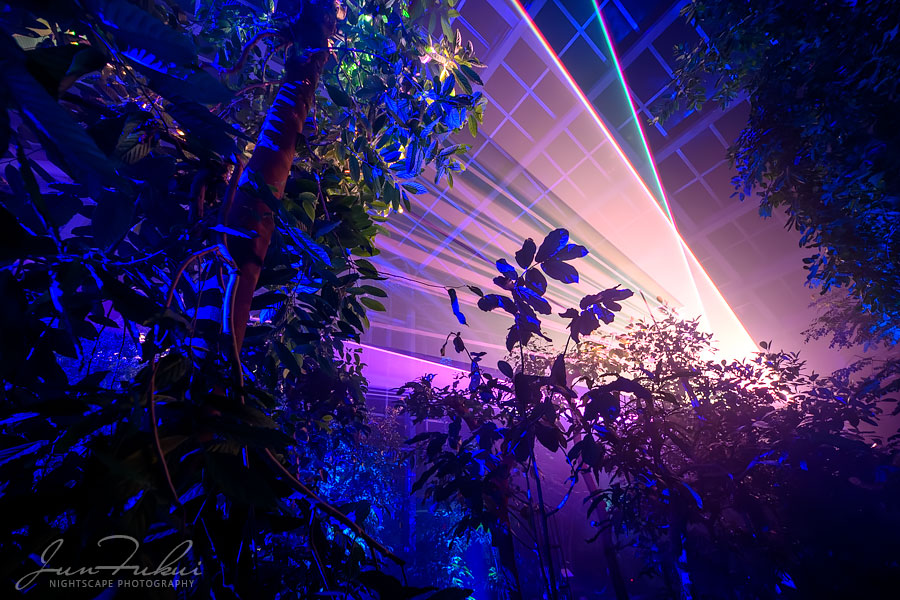 京都府立植物園 ナイトスケープ