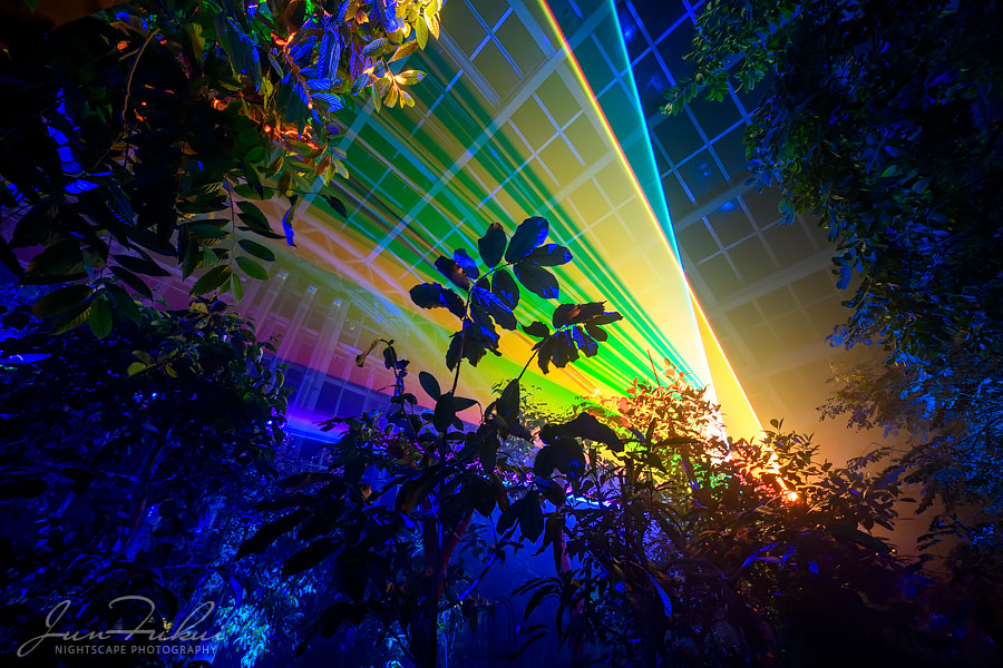 京都府立植物園 ナイトスケープ