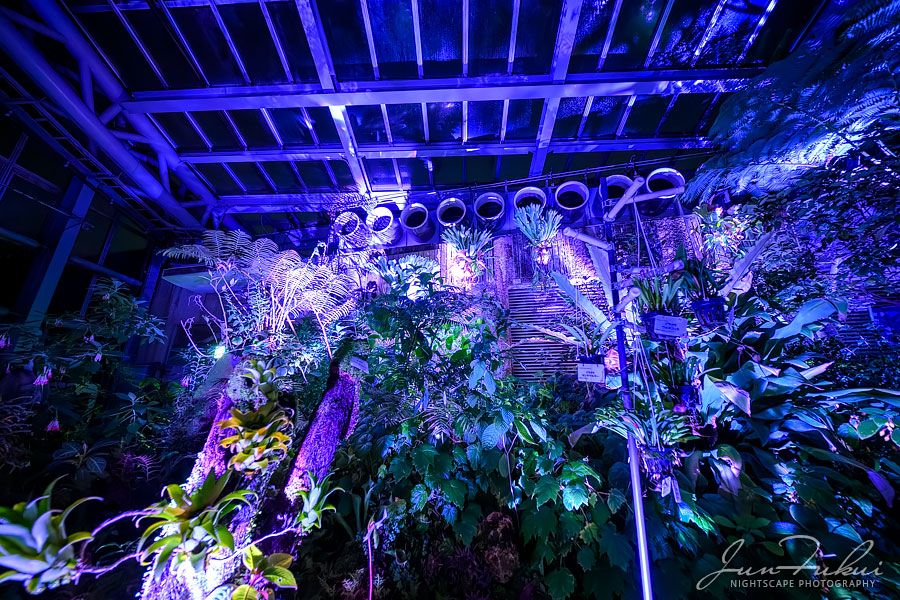 京都府立植物園 ナイトスケープ