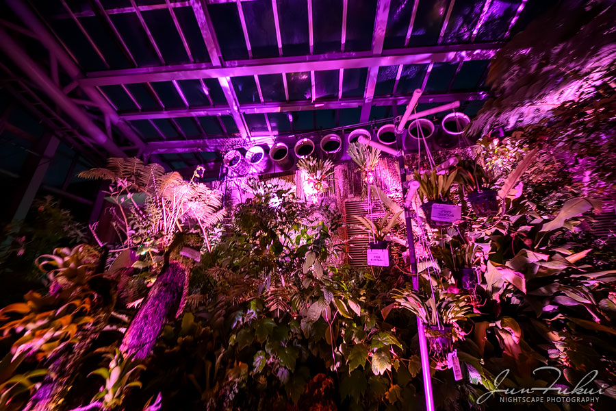 京都府立植物園 ナイトスケープ