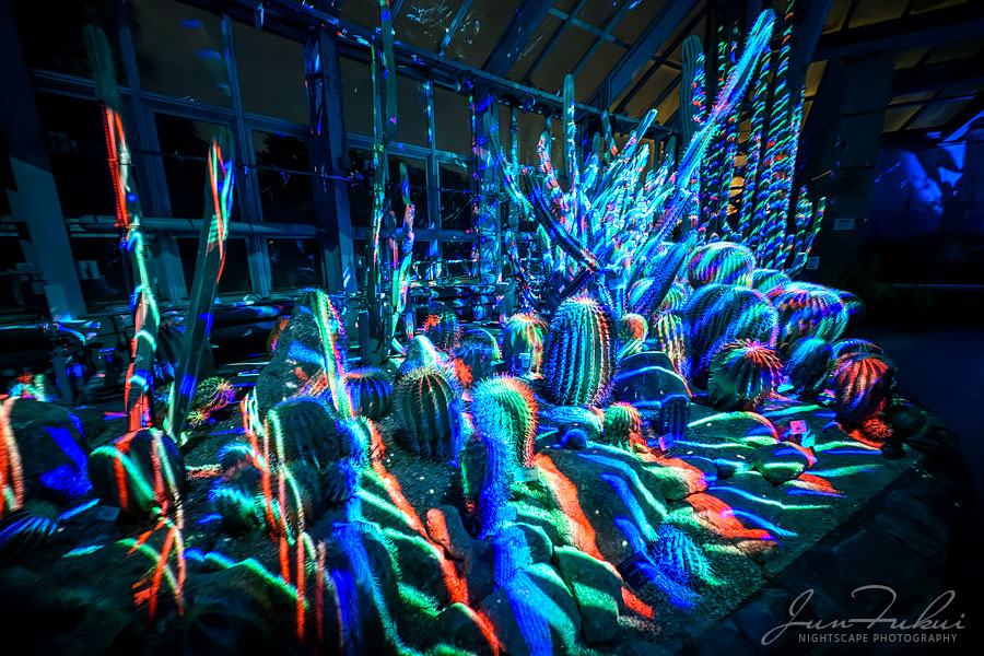 京都府立植物園 ナイトスケープ