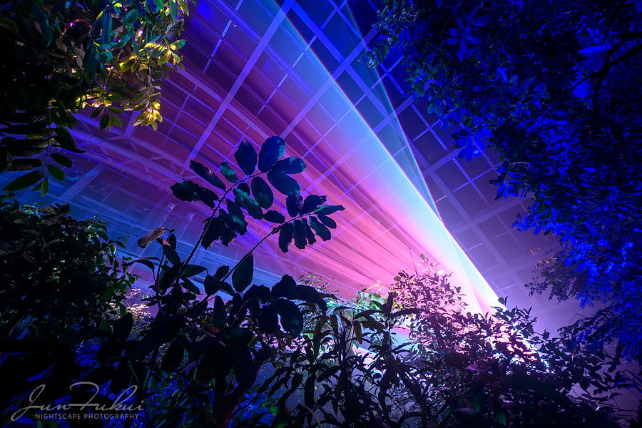 京都府立植物園 ナイトスケープ