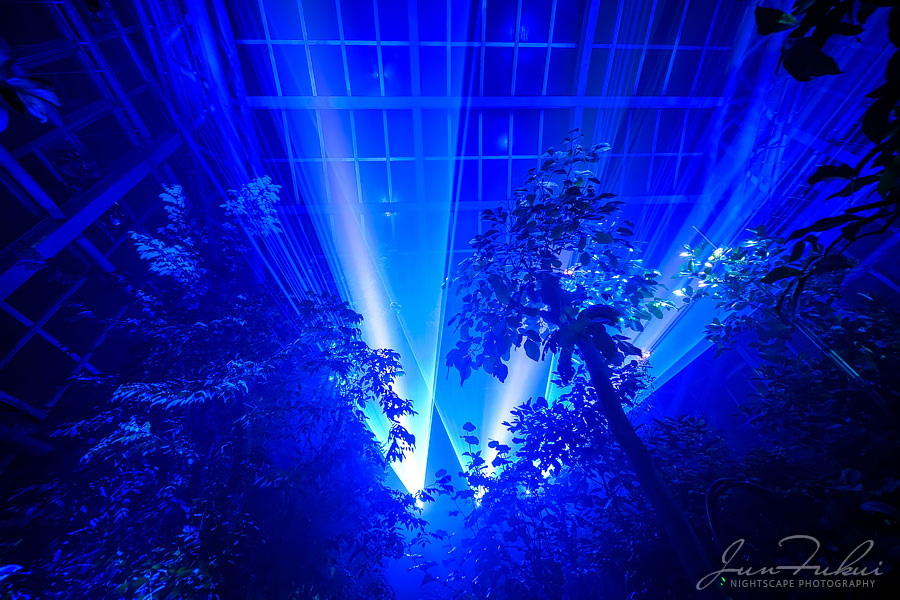 京都府立植物園 ナイトスケープ