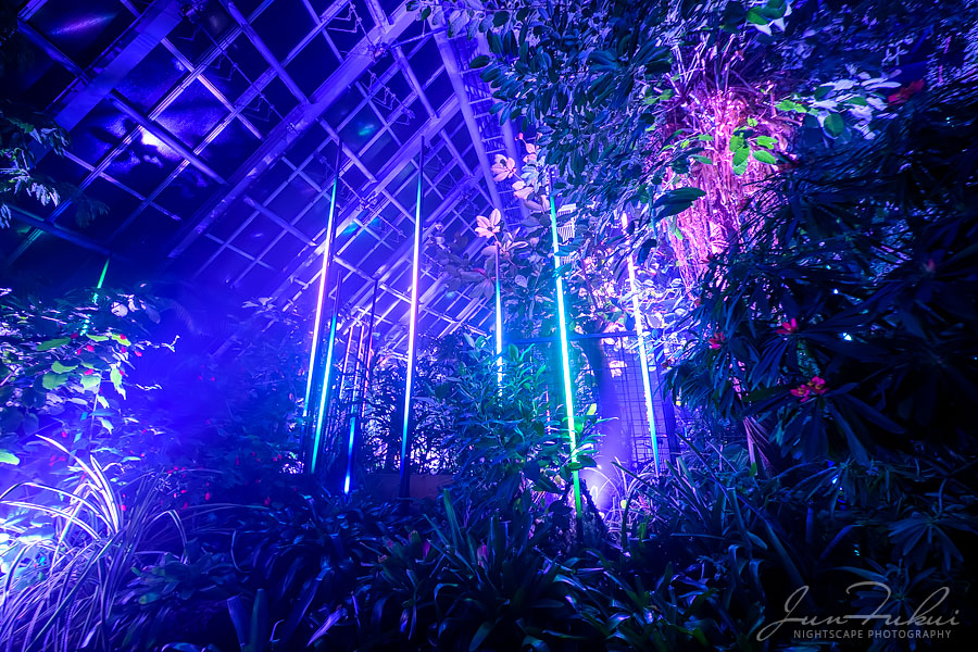 京都府立植物園 ナイトスケープ