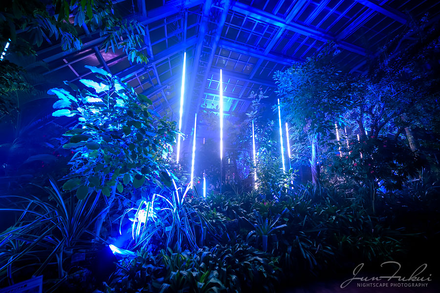 京都府立植物園 ナイトスケープ
