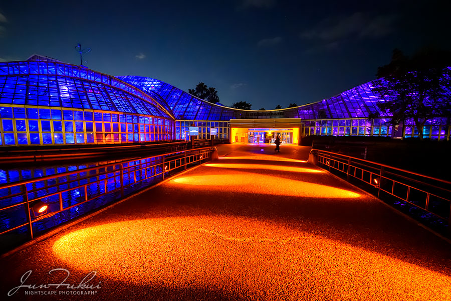 京都府立植物園 ナイトスケープ