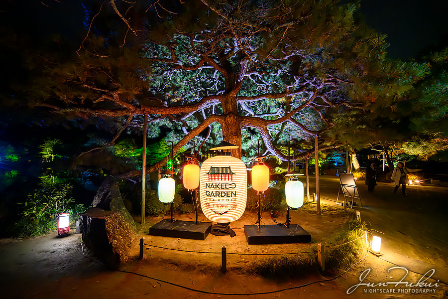 平安神宮 イルミネーション