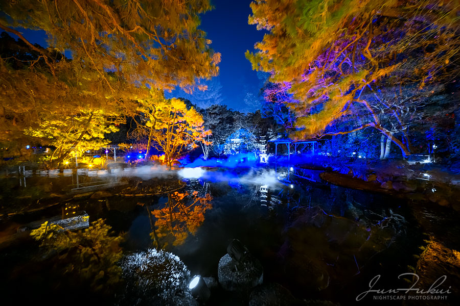 平安神宮 ナイトスケープ
