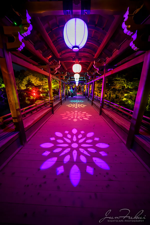 平安神宮 ナイトスケープ