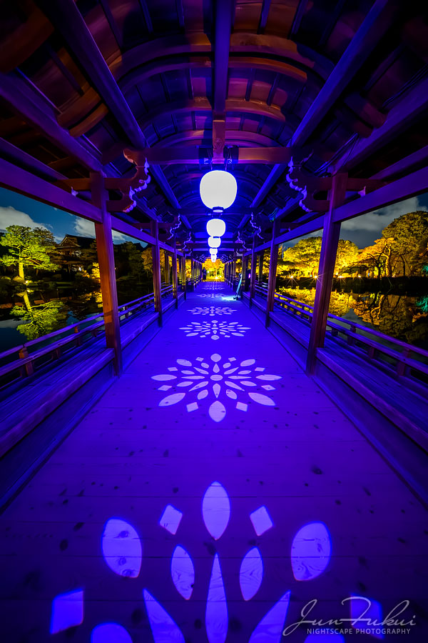 平安神宮 ナイトスケープ