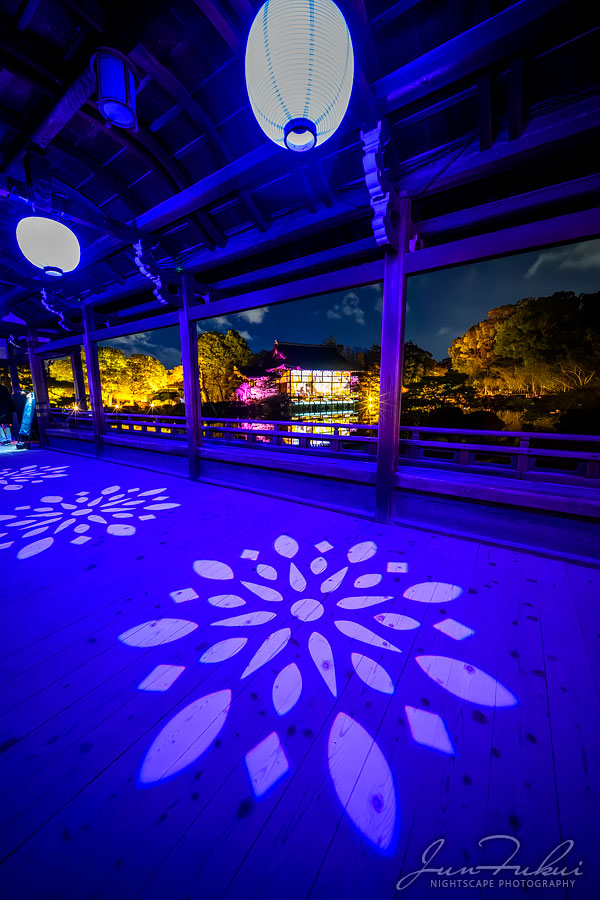 平安神宮 ナイトスケープ