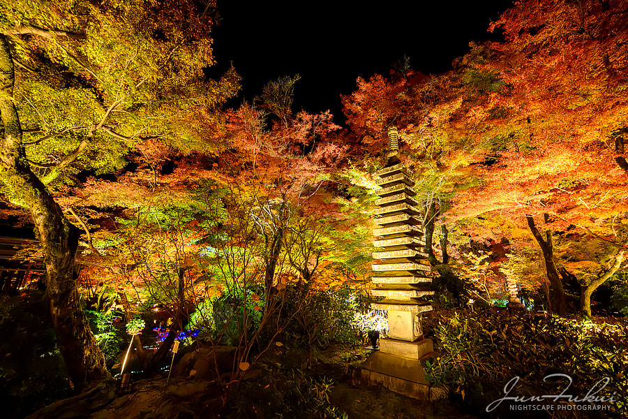 宝厳院 ナイトスケープ