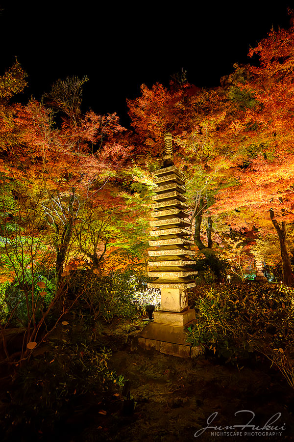 宝厳院 ナイトスケープ