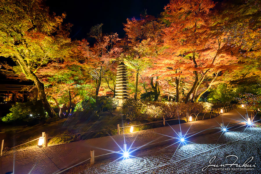 宝厳院 ナイトスケープ