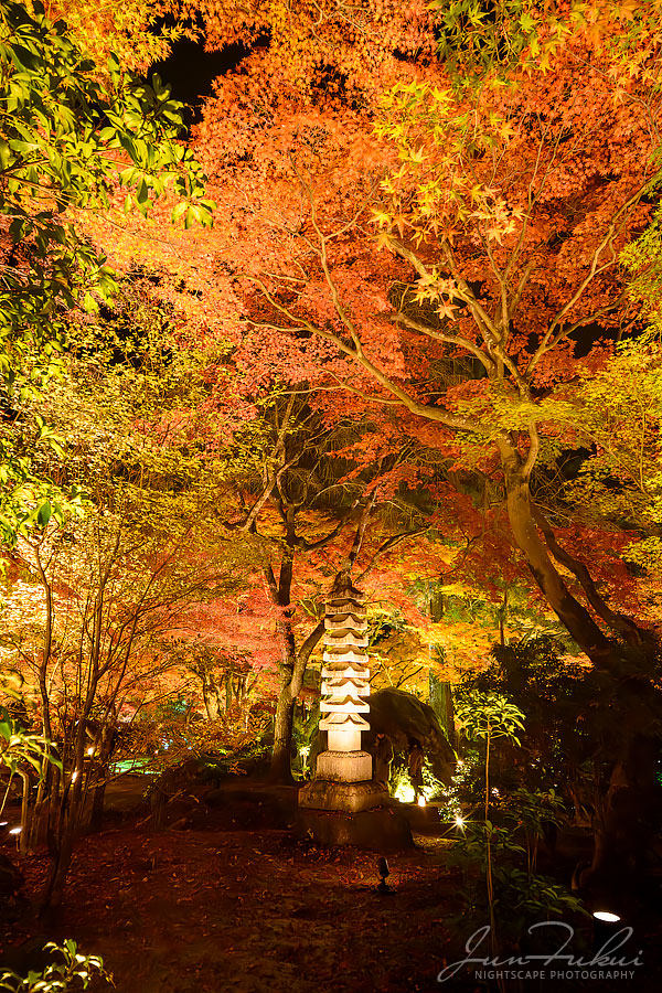 宝厳院 ナイトスケープ