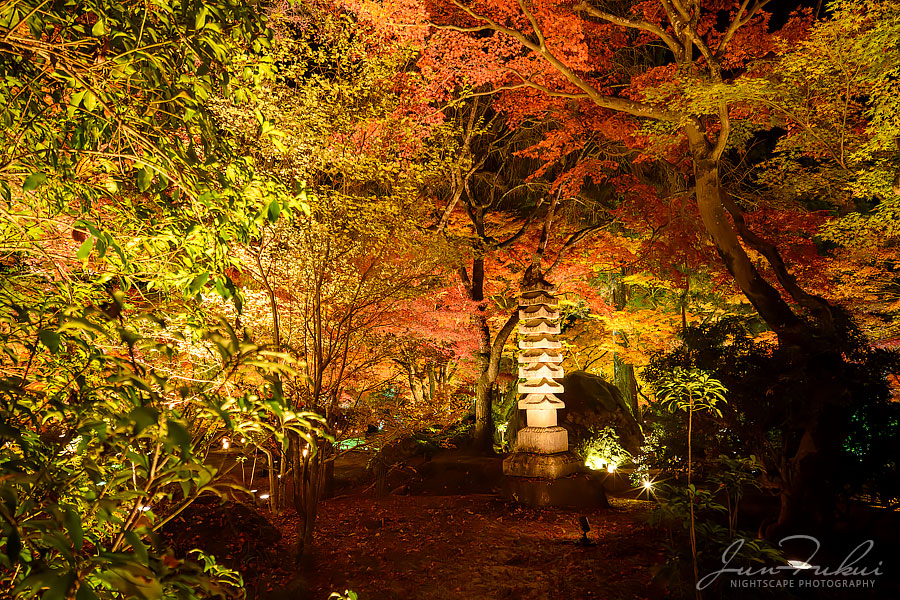 宝厳院 ナイトスケープ