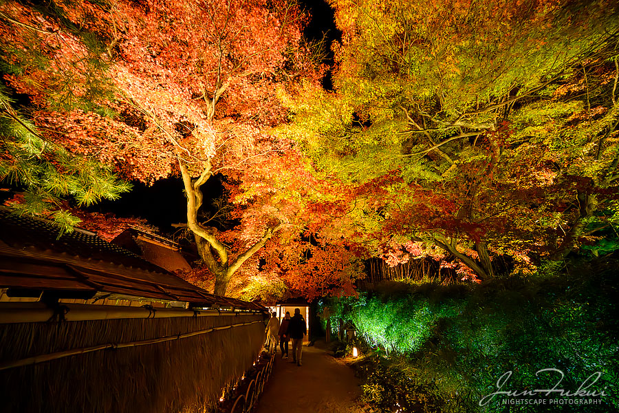 宝厳院 ナイトスケープ