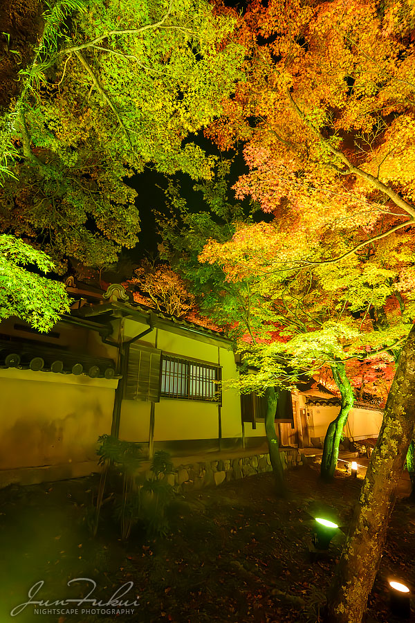 宝厳院 ナイトスケープ