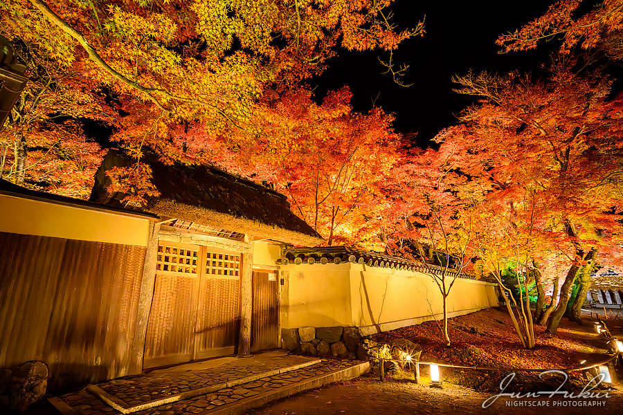 宝厳院 ナイトスケープ