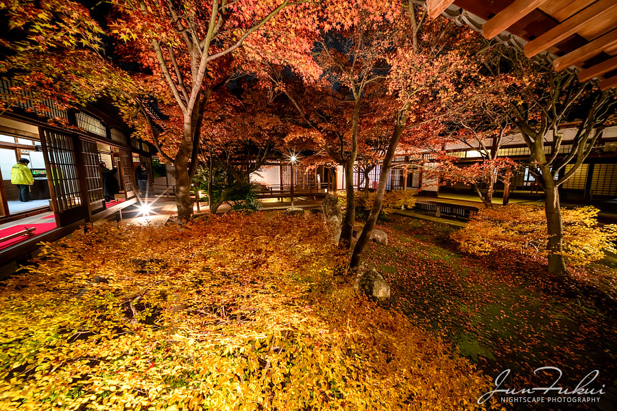 建仁寺 ナイトスケープ