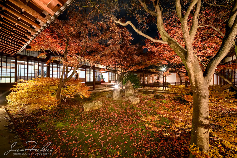 建仁寺 ナイトスケープ