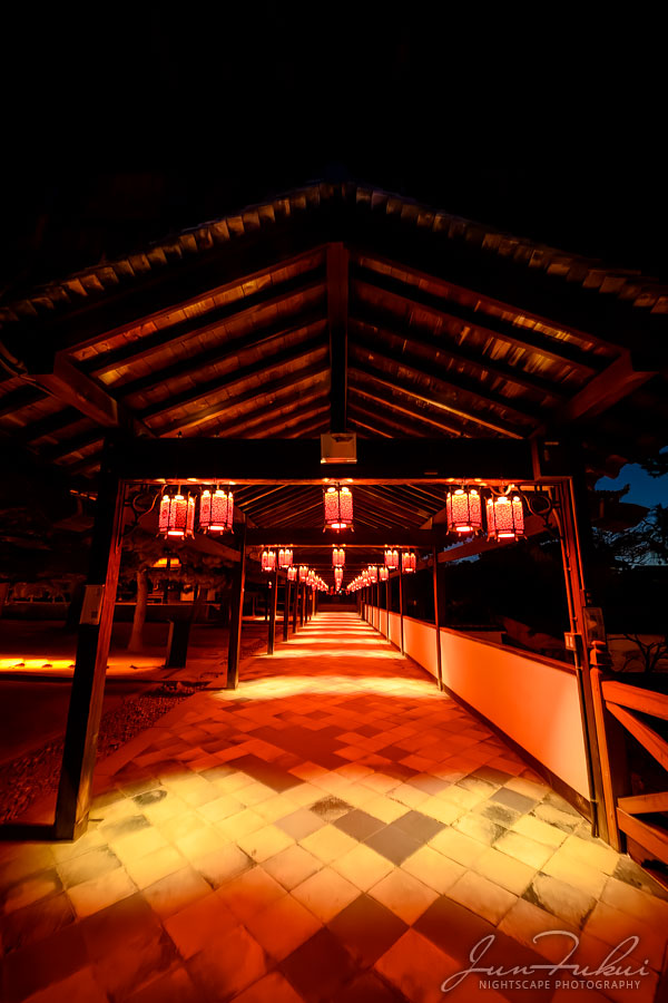 萬福寺 ナイトスケープ