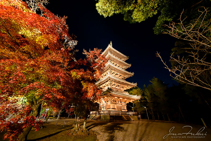 仁和寺 ナイトスケープ