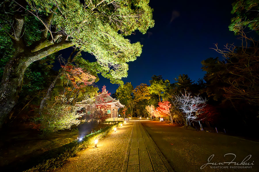 仁和寺 ナイトスケープ