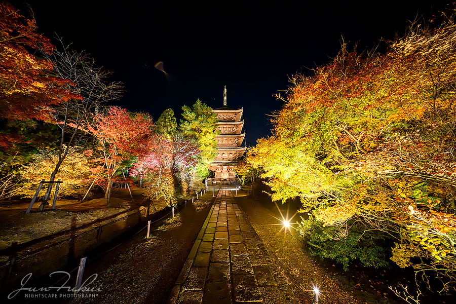 仁和寺 ナイトスケープ