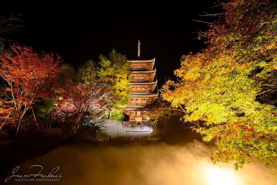 仁和寺 ナイトスケープ