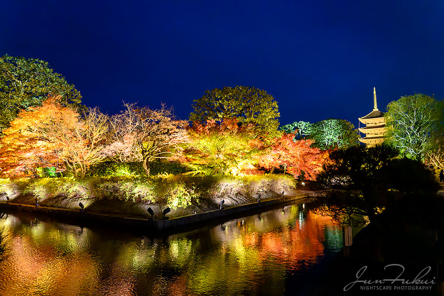 東寺 ナイトスケープ