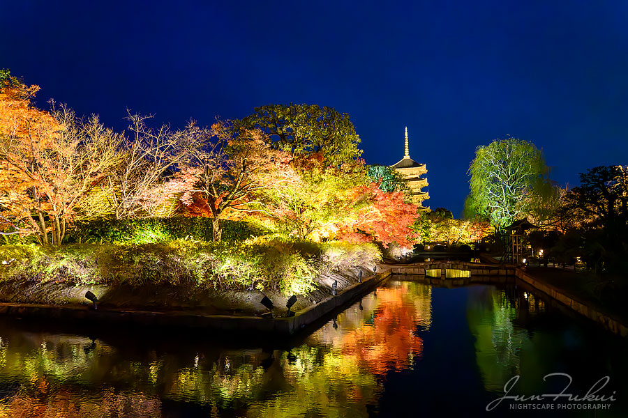 東寺 ナイトスケープ