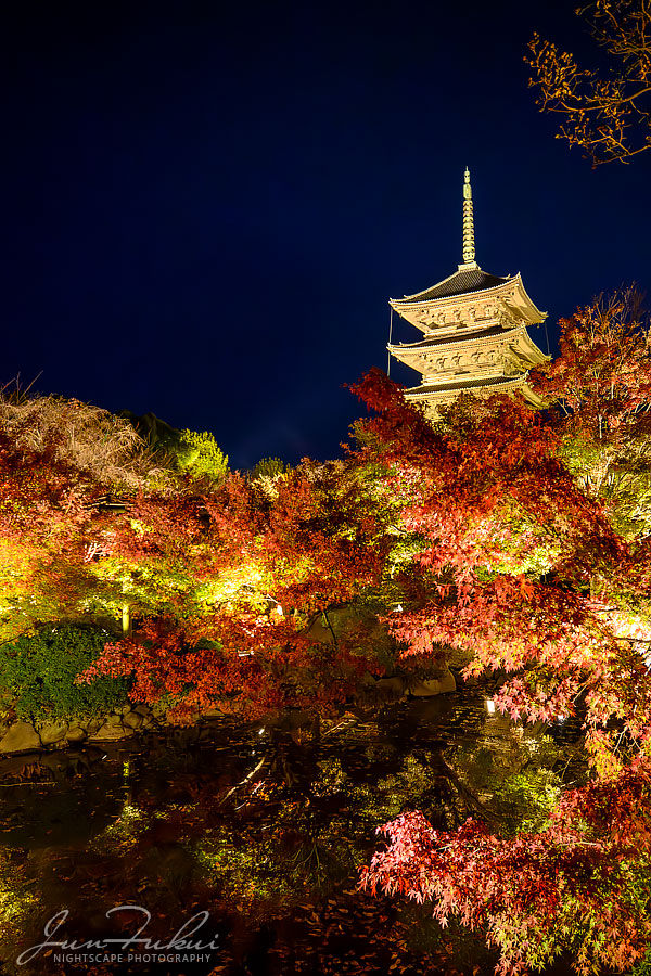 東寺 ナイトスケープ