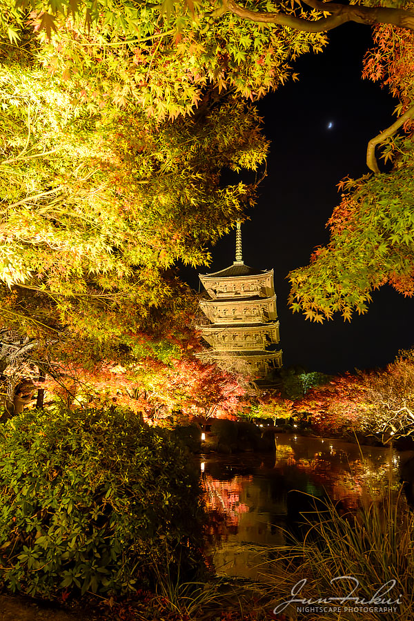 東寺 ナイトスケープ