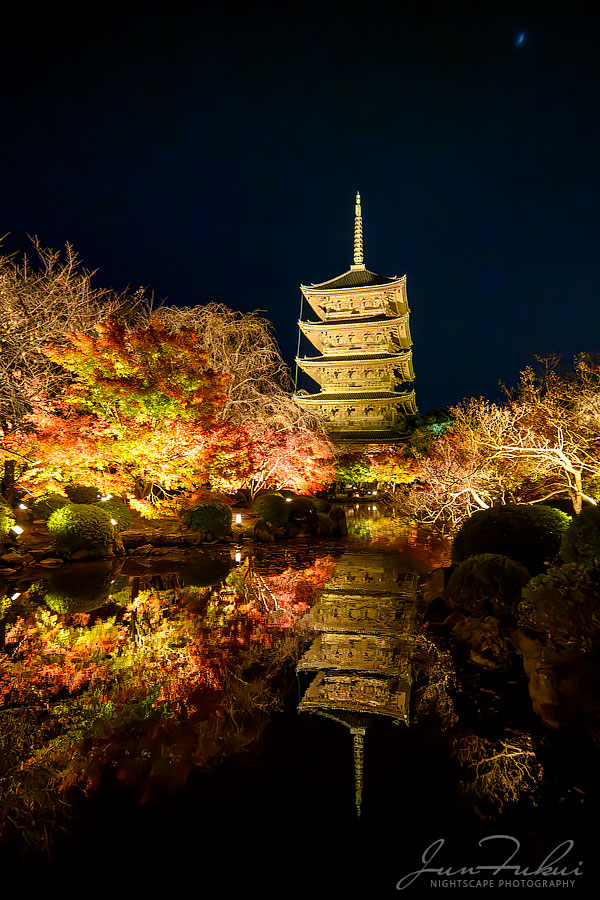 東寺 ナイトスケープ