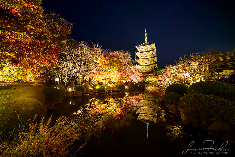 東寺 ナイトスケープ