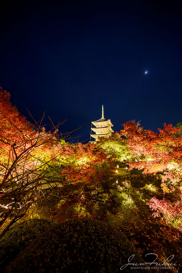 東寺 ナイトスケープ