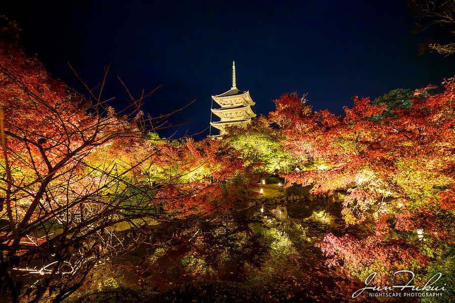 東寺 ナイトスケープ