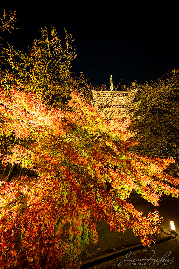 東寺 ナイトスケープ