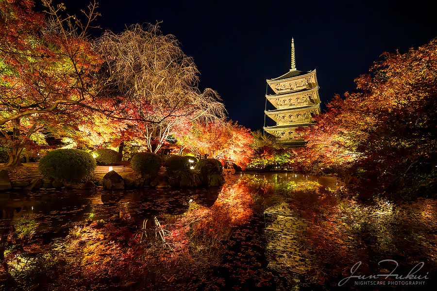 東寺 ナイトスケープ